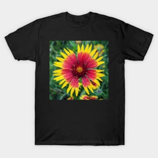 Sundrops T-Shirt